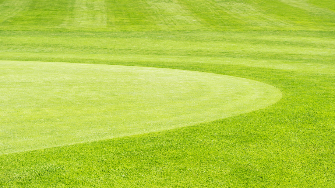 ゴルフコースでテストしてみました。